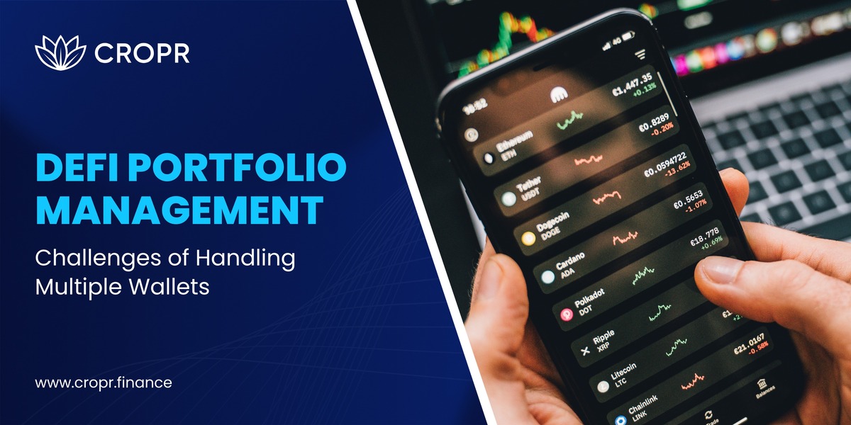 DeFi Portfolio Management: Challenges of Handling Multiple Wallets