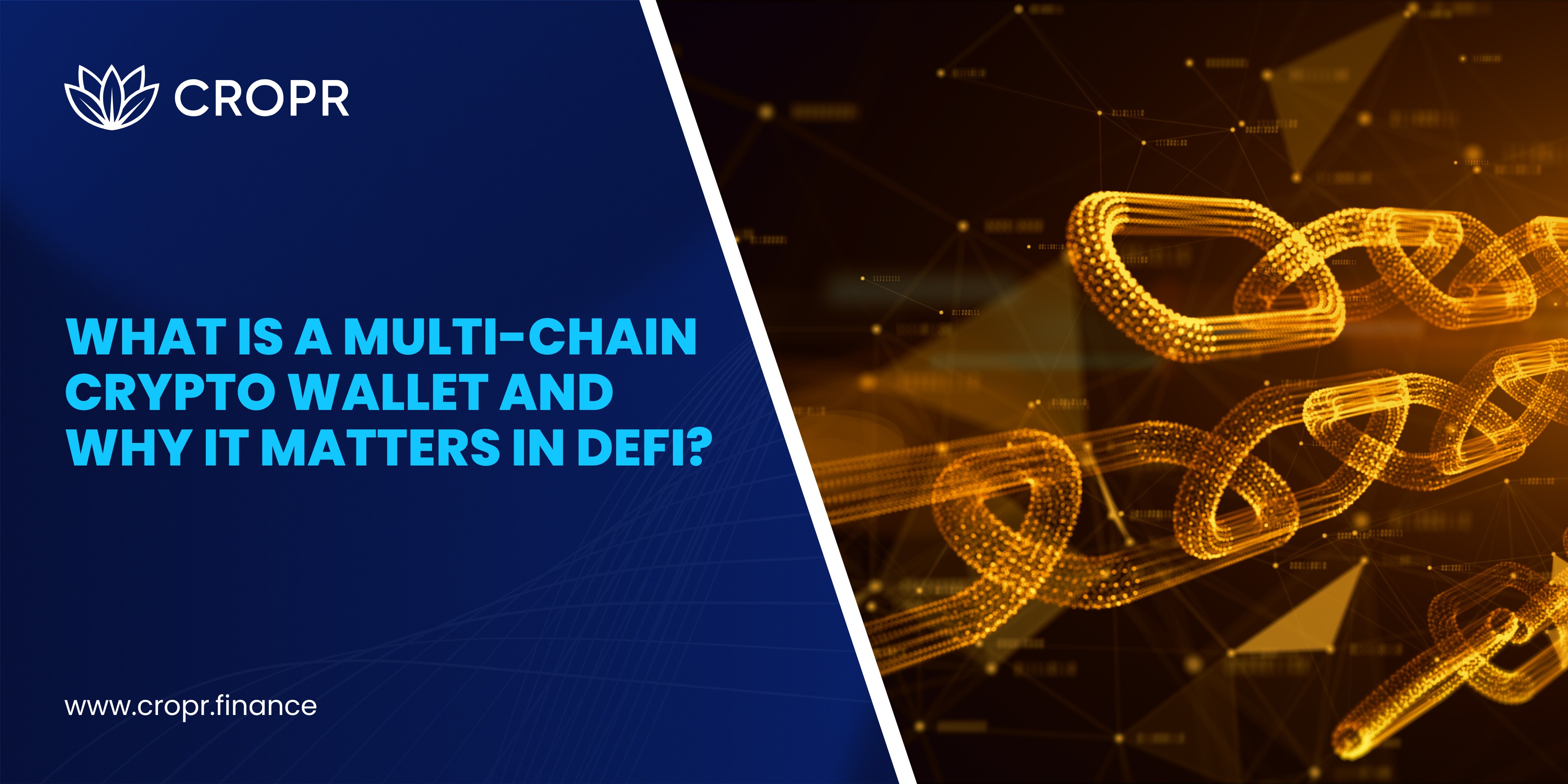 Multi Chain Crypto