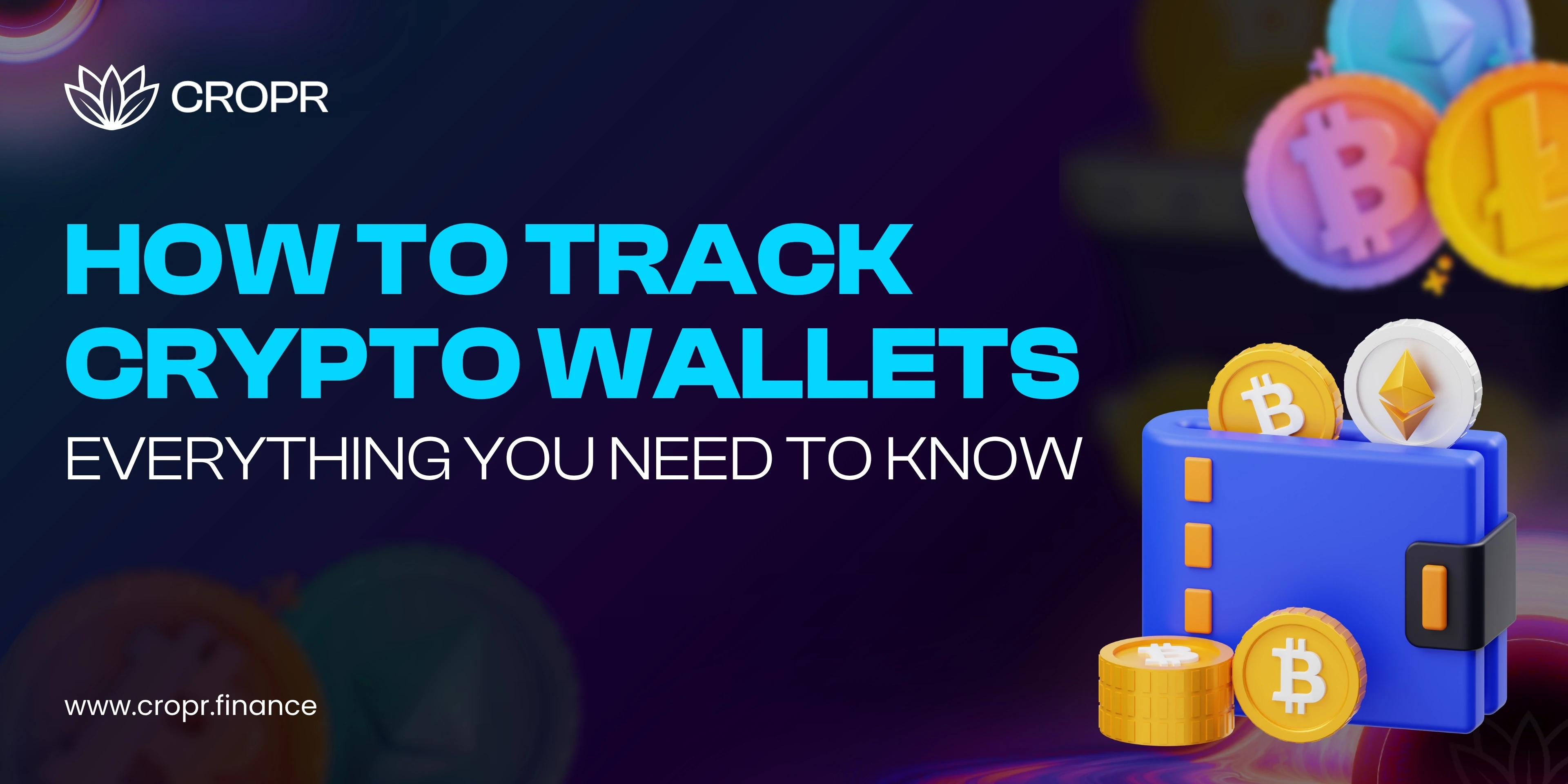 track crypto wallets thumbnail image